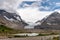 View of the Columbia Icefields in Jasper National Park