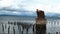 View of Columbia River from Astoria