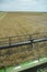 View from the combine cab to the rapeseed area where the harvest is taking place. The theme is agriculture. Combine harvester