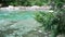 View of coniferous branches against the background of azure water