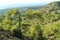 A view of the contrasting coastal and hillside landscape in southern Cyprus