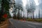 View of Controlled Fires and Large Amount of Smoke on the Roads of Yosemite Park