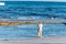 View Corralejo dunes, white sandy beach, blue water, Lobos and Lanzarote islands, Fuerteventura, Canary islands, Spain