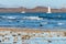 View Corralejo dunes, white sandy beach, blue water, Lobos and Lanzarote islands, Fuerteventura, Canary islands, Spain