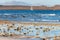 View Corralejo dunes, white sandy beach, blue water, Lobos and Lanzarote islands, Fuerteventura, Canary islands, Spain
