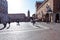 View of Corso di Porta Reno and Piazza Trento e Trieste, Town Ha