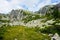 View from the Corte della Sassina alp to the Pizzo Campo Tencia mountain range