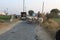 A view of country road in Punjab, cows and people are together