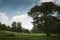 View of countryside in the Cotswold