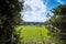 A view of the countryside and distant forest