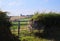 View of the countryside in summer