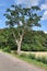 View on county roads and pathways on a sunny summer day in northern germany