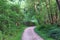 View on county roads and pathways on a sunny summer day in northern germany