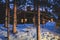 View of a cozy wooden scandinavian cabin cottage chalet house covered in snow near ski resort lodge in winter with the christmas