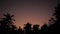 A view of crescent moon over tropical trees at twilight