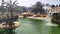 View of the crocodile farm, alligators in the water, crocodile farm tunisia africa, beautiful day