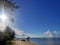 View of Crooked Coconut Trees at Trikora Beach, Bintan island