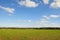 View of Crops Growing on Farmland