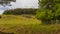 A view from Cropston reservoir towards a Charmian Rock outcrop in Bradgate Park in Leicestershire