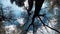 View of the crown of a tree with young leaves against the sky from below.