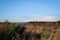 View of Culloden Moor