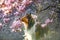 View of cute Collie among the beautiful purple flowers in a garden