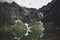 View on the Czarny Staw lake in Tatra Mountains with Rysy peak in background