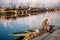 View of  Dal lake  and boat house before sunset in the heart of Srinagar during winter  , Srinagar , Kashmir , India