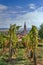 View of Dambach la Ville, Alsace, France