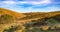 View of Dartmoor from the path to Wistmans Wood