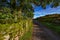 View of Dartmoor from the path to Wistmans Wood