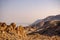 View of the Dead Sea and the mountains of Moab