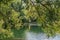 View through a deciduous tree across the lake in the park Rheinaue in Bonn.