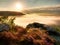 View into deep misty valley over tufts of heather. Hill peaks in creamy fog