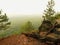 View into deep misty valley, peaks of trees increased from autumn fog.