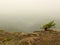 View into deep misty valley, peaks of trees increased from autumn fog.