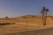 View of desert with the stepped Pyramid of Djoser in Saqqara, Egy