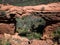 View on the Devil\\\'s Bridge Trailhead Slide Rock State park