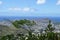 View of Diamondhead, Kapahulu, Kahala, Pacific ocean through the trees