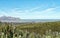 View of Die Strand and Gordons Bay