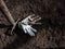 View of dig up raised garden bed and brown soil with pitchfork and dirty gloves without any weeds, prepared for planting