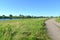 View of the dirt road and the Matrosovka River in the neighborhood of the settlement Big Banks. Kaliningrad region