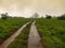 View of a dirt road in the middle of a pasture field