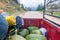 View of a dirt road from a pick up truck loaded with water melons near Yalambojoch village, Guatema