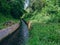 view of the ditch with the trees around it