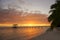 View of a dock leading out into water framed by palm trees at sunset on the tropical island of Fakarava in French Polynesia