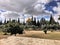 A view of the Dome of the Rock and the Al Aqsa Mosque in Jerusalem