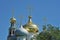 View of the domes of the churches of the Novodevichy monastery