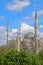 View of the domes and minarets of the Blue Mosque in Istanbul