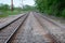 View of a double steel railroad tracks with trees on the side of the road